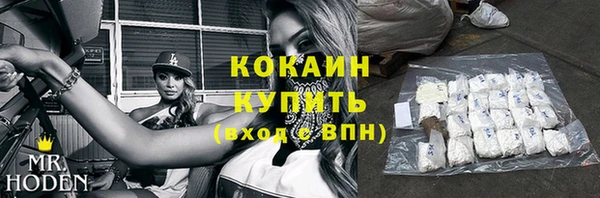 бошки Осинники