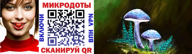 OMG ONION  где найти   Тара  Галлюциногенные грибы мухоморы 