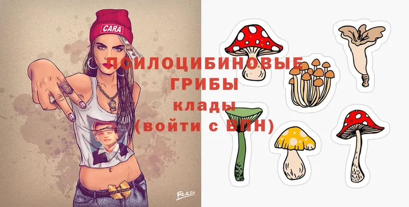 Галлюциногенные грибы Cubensis  маркетплейс формула  Тара 