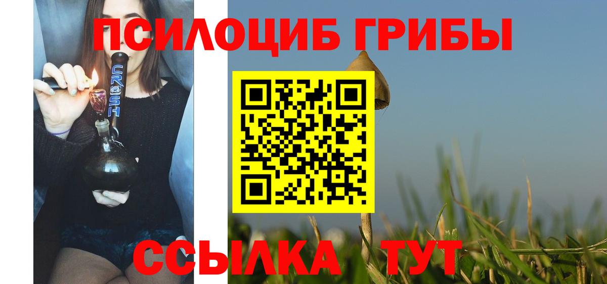 Псилоцибиновые грибы Psilocybe  Вход с VPN  Тара  Псилоцибиновые грибы мухоморы 
