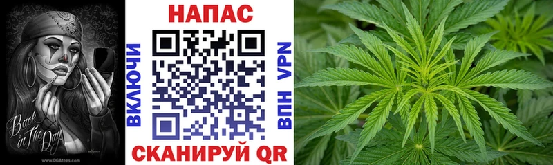 KRAKEN вход  Тара  Марихуана White Widow 